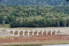 草紅葉（オオイヌタデ）とタウシュベツ川橋梁