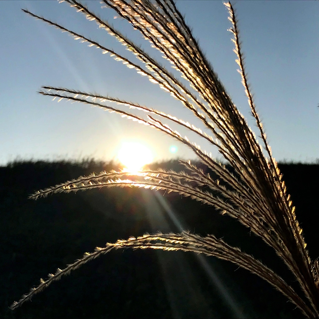 久しぶりの天気なのでサイクリング