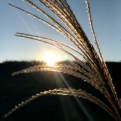久しぶりの天気なのでサイクリング