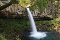 伊豆　萬城の滝（その２）