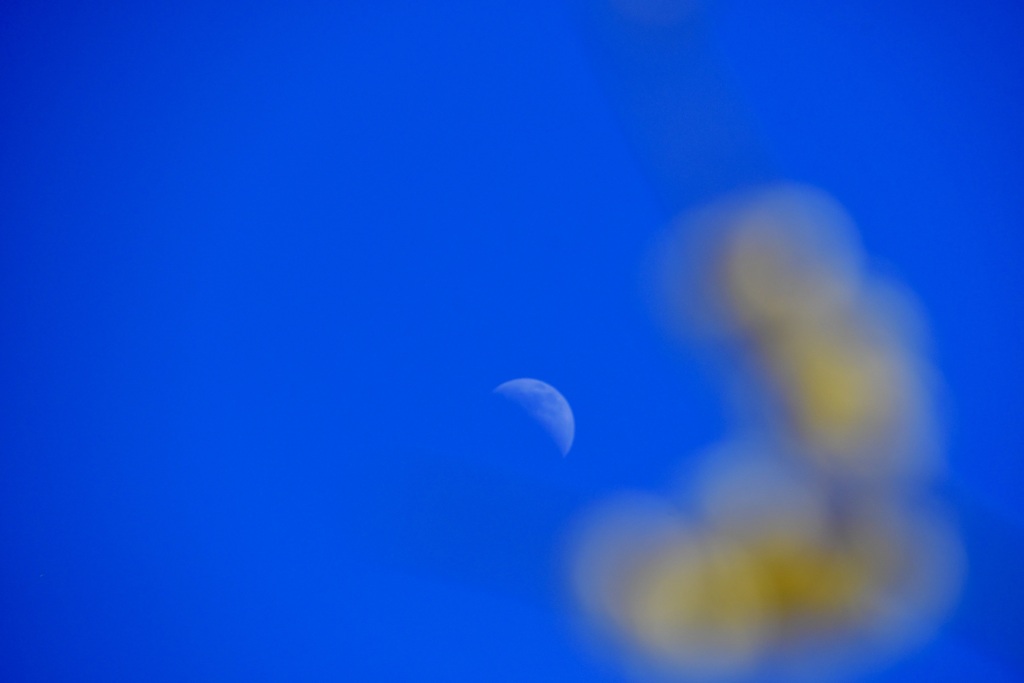 月と一緒に撮りたかった