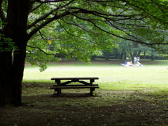 公園のひとコマ