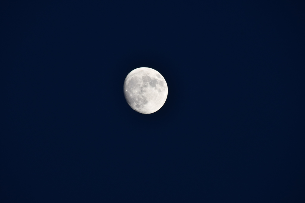 今日は十三夜の月