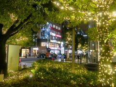 赤坂の夜