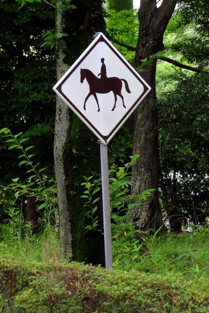 そこのけそこのけお馬が通る