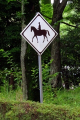 そこのけそこのけお馬が通る