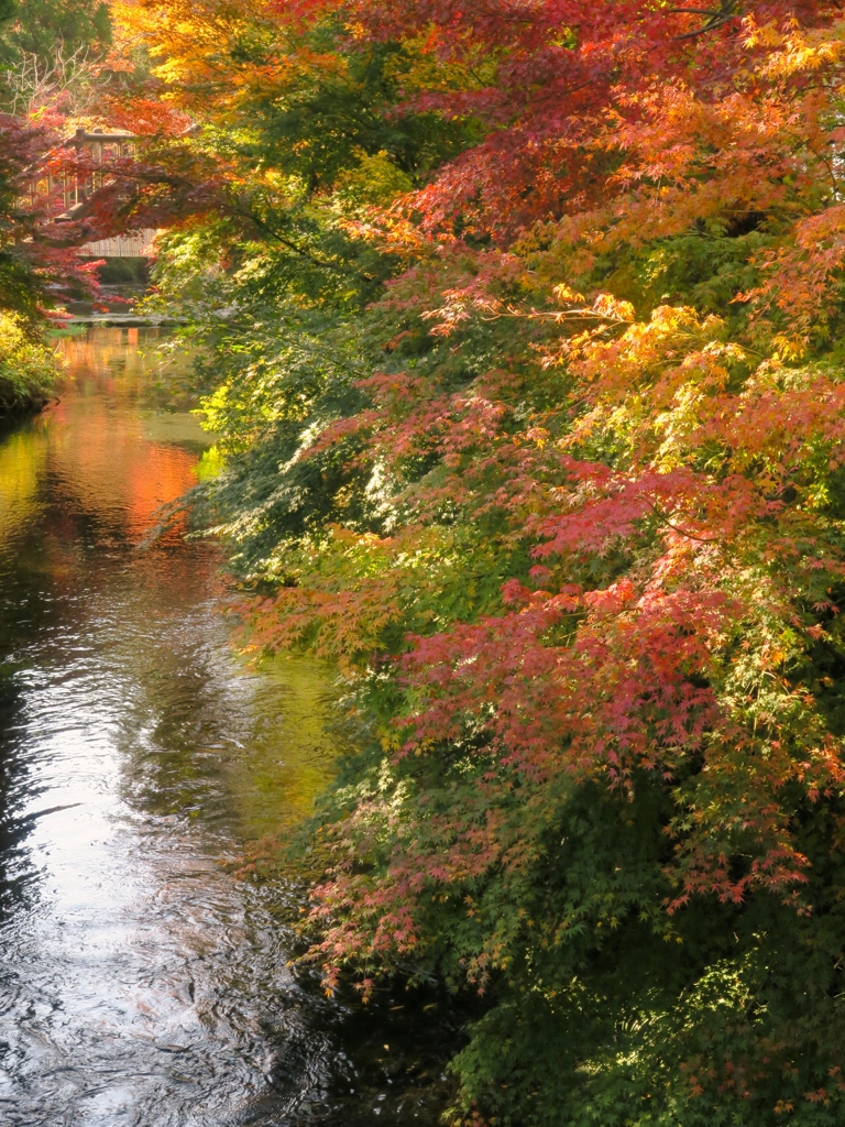 湧水地