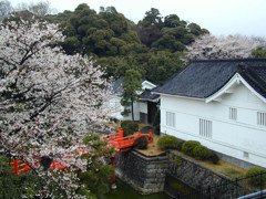 御用蔵（昔の宮内庁御用達醤油製造所）