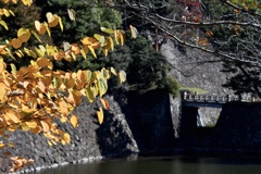 皇居内の桂の紅葉と西桔橋