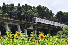 外房線