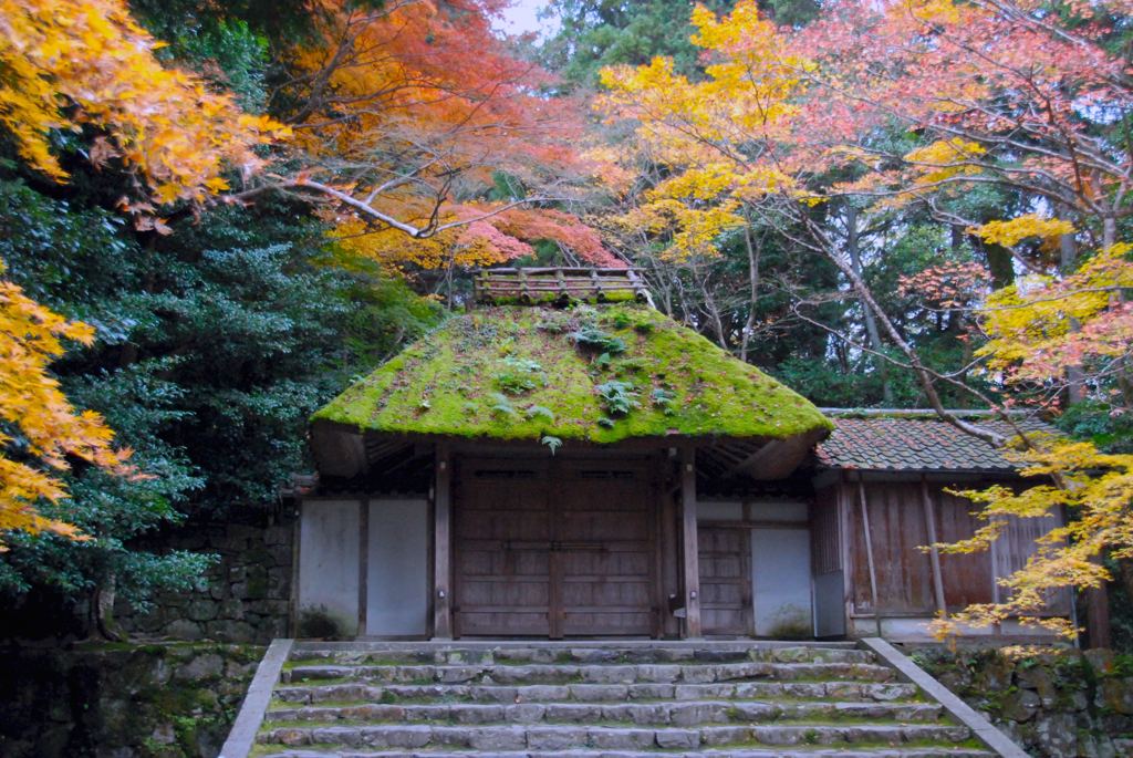 藁葺き屋根　法然院　京都