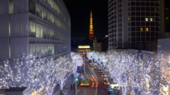 イルミネーション定番