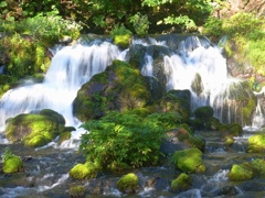 ふきだし湧水