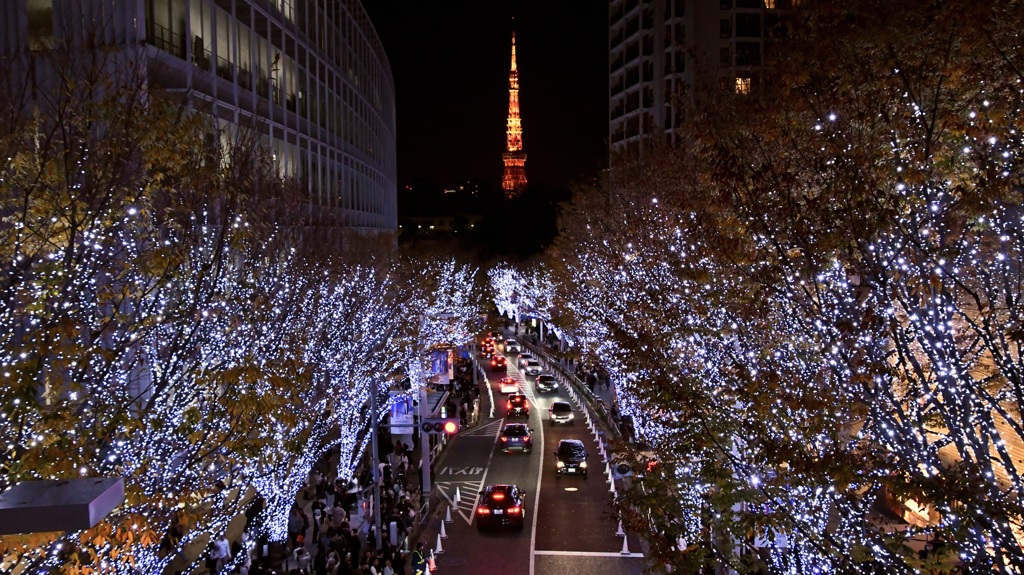 六本木の夜景