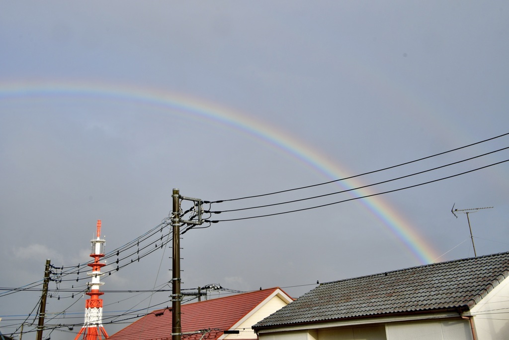 虹