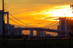 レインボーブリッジ