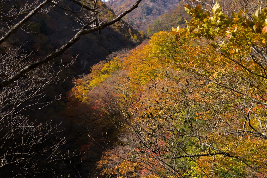 紅葉ハイキング