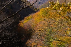 紅葉ハイキング