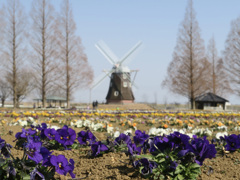 あけぼの山公園