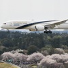 花見客の上を飛ぶ飛行機