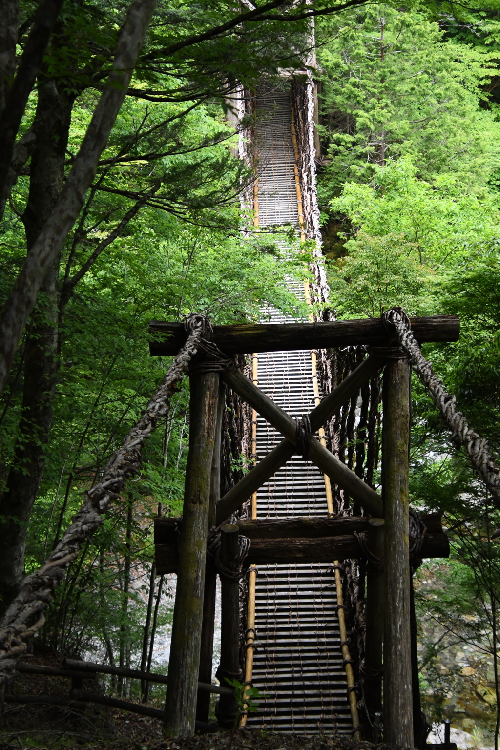 二重かずら橋