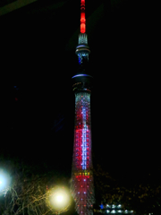 クリスマスカラー