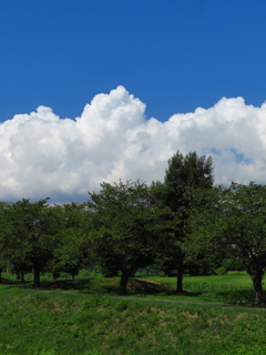 夏空　残暑お見舞い申し上げます