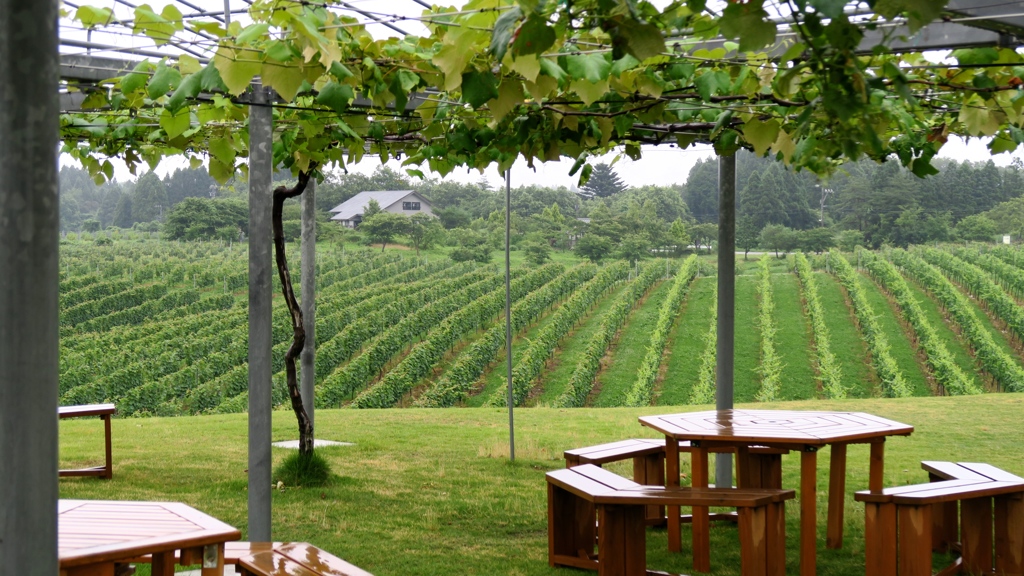 癒されるカフェ