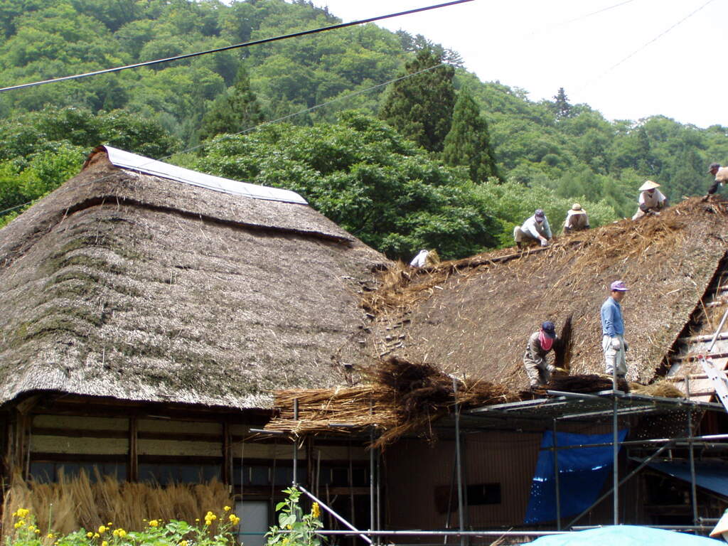 藁葺き屋根の張り替え