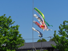 端午の節句