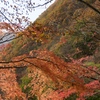 川治温泉高原