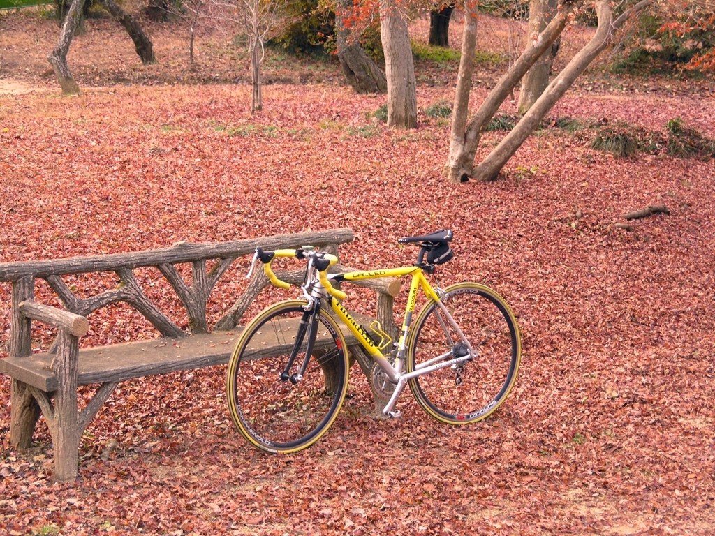 自転車