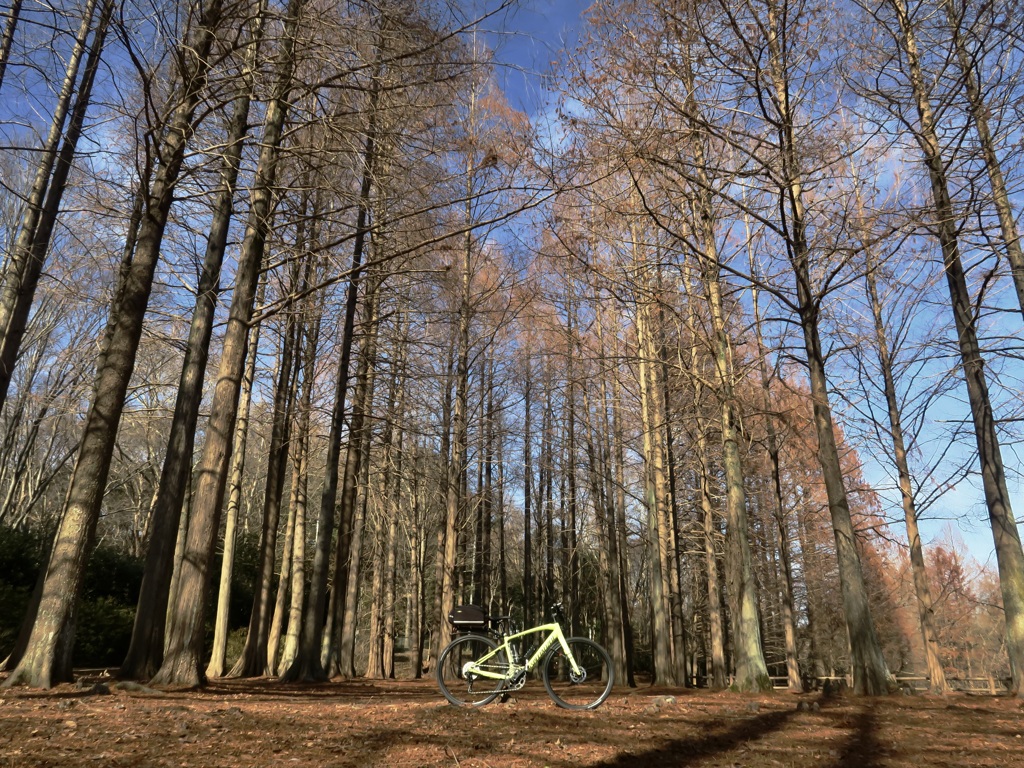 自転車で散歩