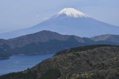 昨日の富士山