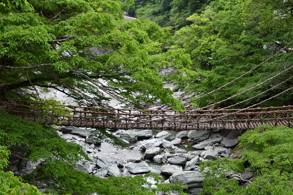 祖谷のかずら橋　２