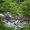 祖谷のかずら橋　２