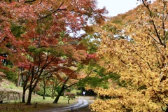紅葉谷　水戸