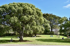 公園のお昼