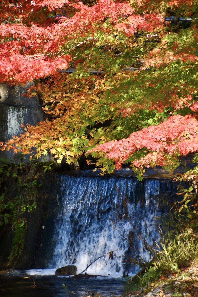 紅葉　塩原にて