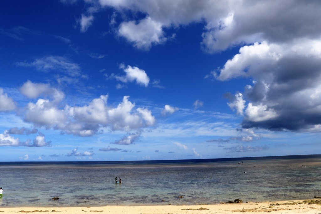 また行きたい米原海岸