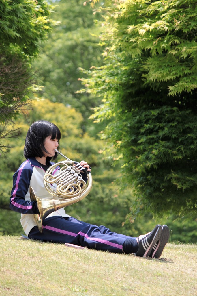 ホルン