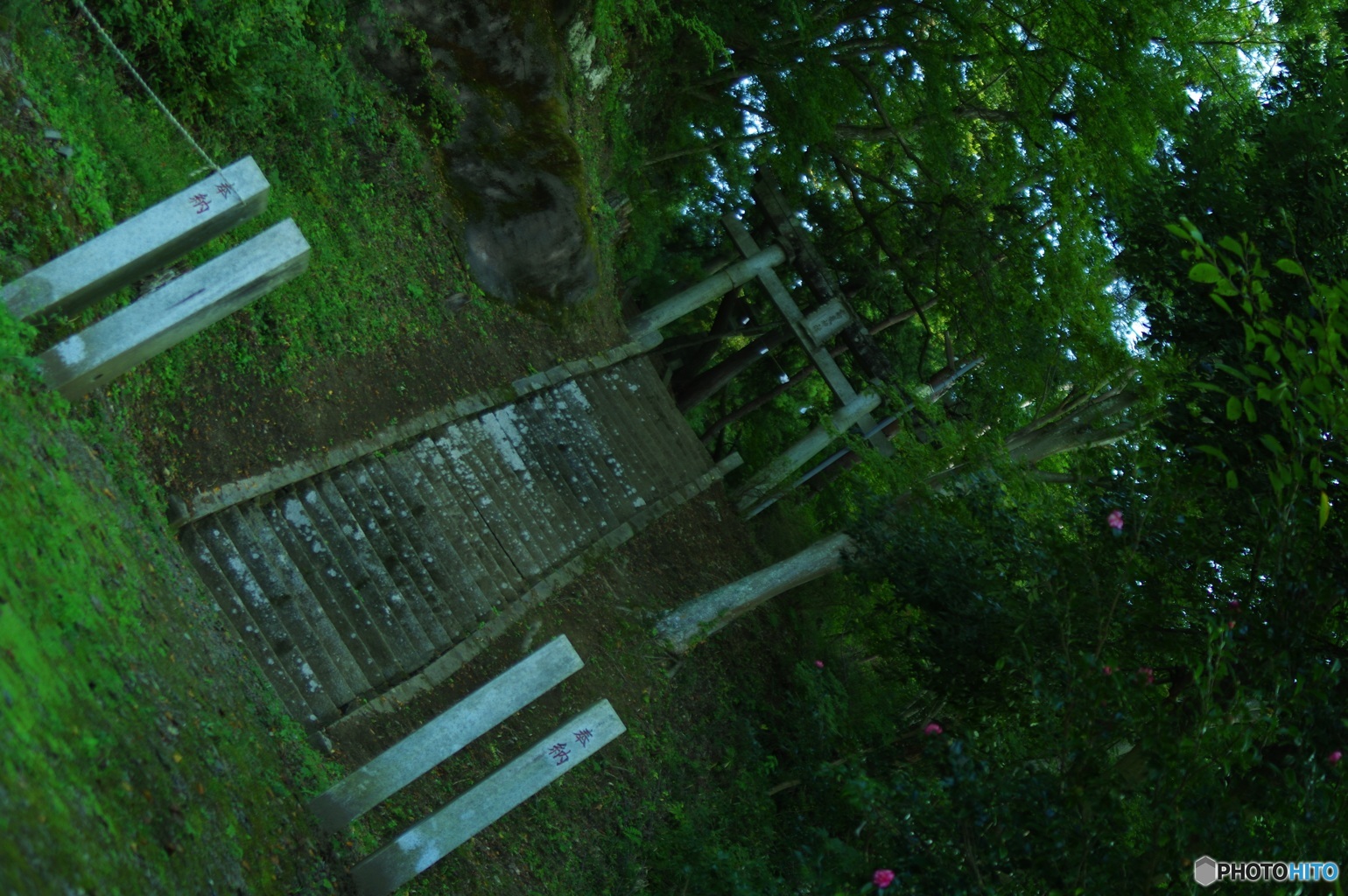 神の居る処