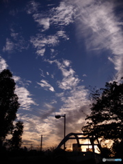 新木場の空