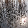 幾何学模様