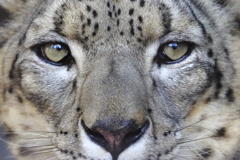 EYE love you - 8 蔵出