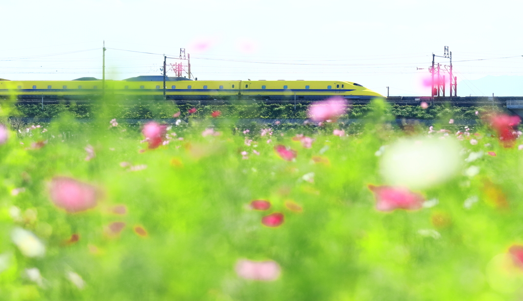 ドクターイエロー　20181009