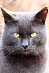 EYE love you - 9 蔵出