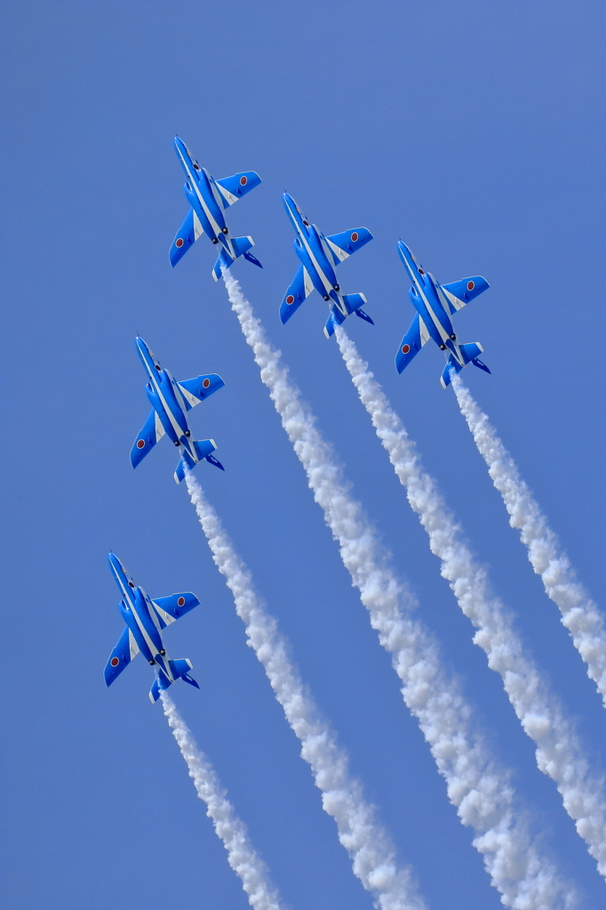 岐阜基地航空祭 - 4  20181118