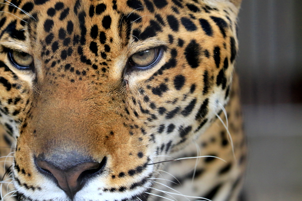 EYE love you　蔵出