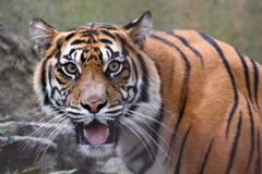 EYE love you - 2　蔵出